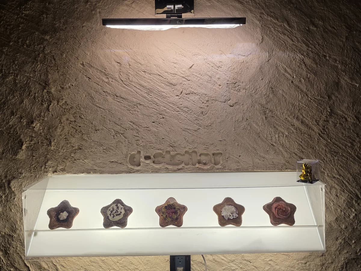 Lit display case with February's five cookies