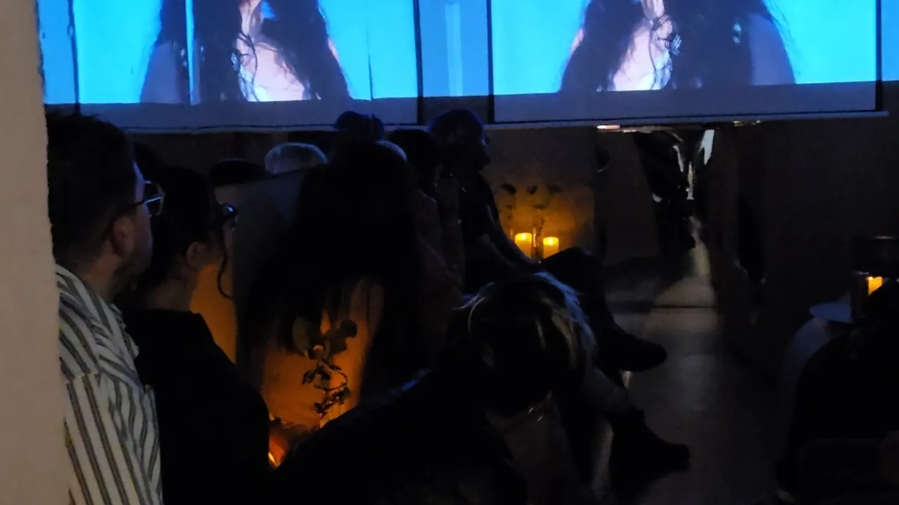 d-stellar's audience watching the on-screen presentation during the IDILIO event